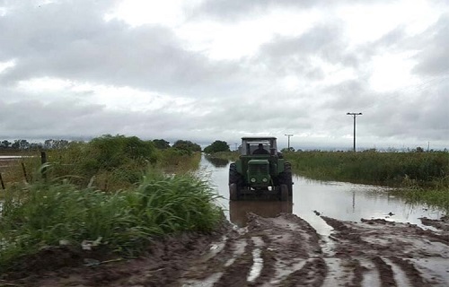 Llega el Fenómeno El Niño y se esperan grandes lluvias en el país luego de la actual sequía