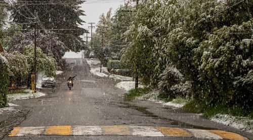 En plena primavera, Bariloche amaneció con una inesperada nevada