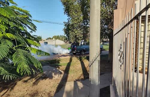 Fumigan barrios de Sáenz Peña por el crecimiento de casos de dengue
