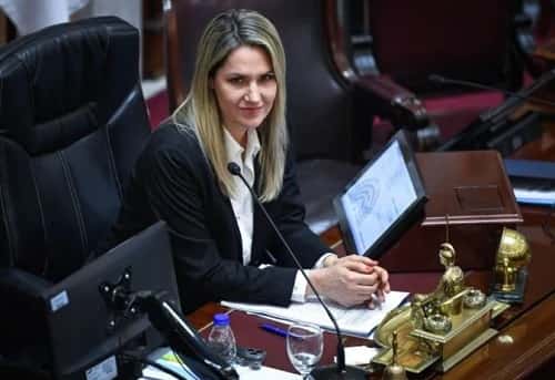 La senadora radical Carolina Losada presentó un proyecto de ley espejo al DNU de Milei