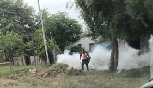 El municipio continúa con los operativos de prevención del dengue en los barrios
